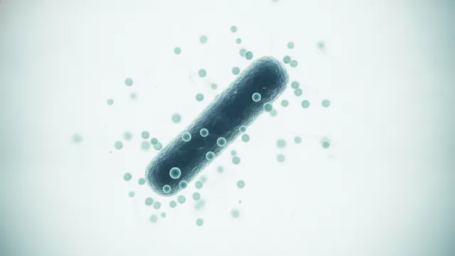What Is Phage Conversion? How Lysogenic Change Shapes Pathogens